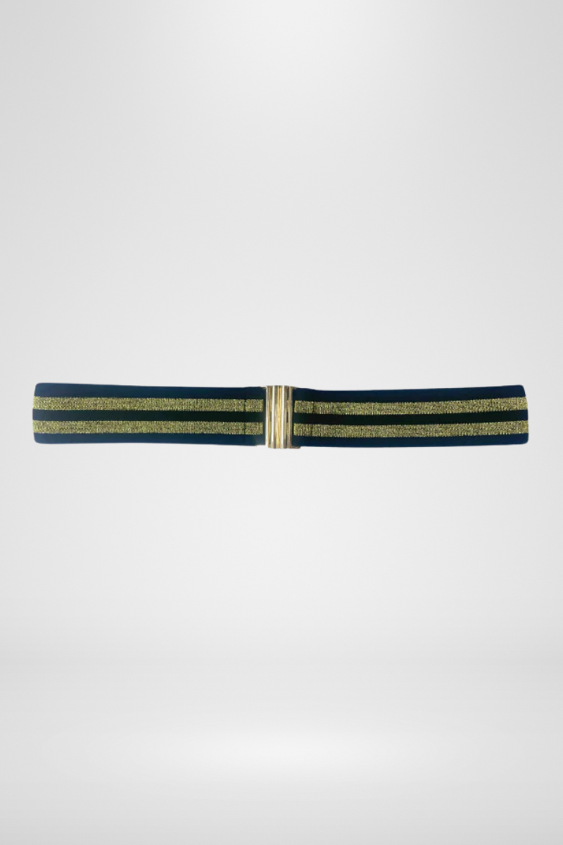 Shop Elastic Belt By 365 Days - Gold - Origen Imports