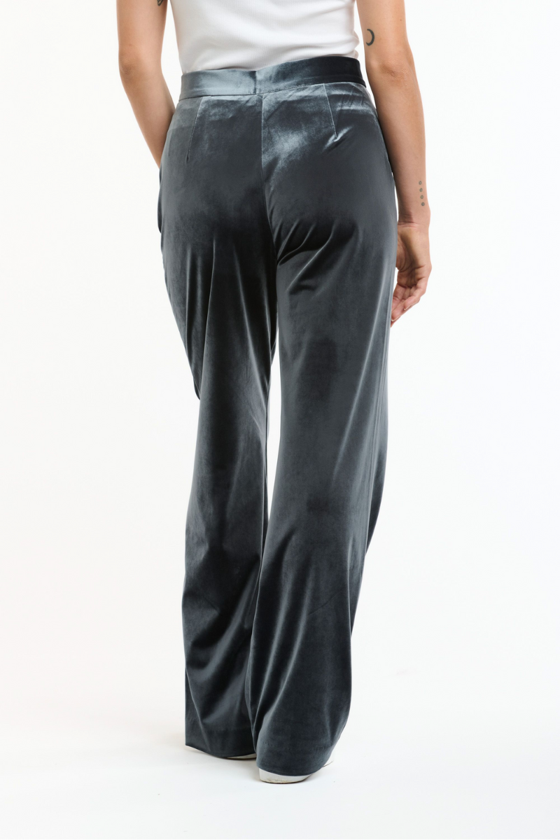 Shop Grey Jets Velvet Pant By Italian Star - Origen Imports