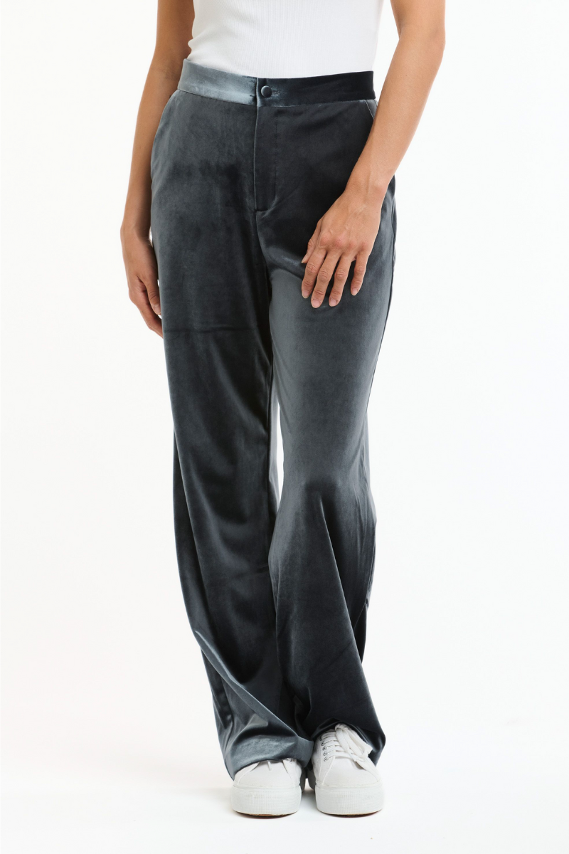Shop Grey Jets Velvet Pant By Italian Star - Origen Imports