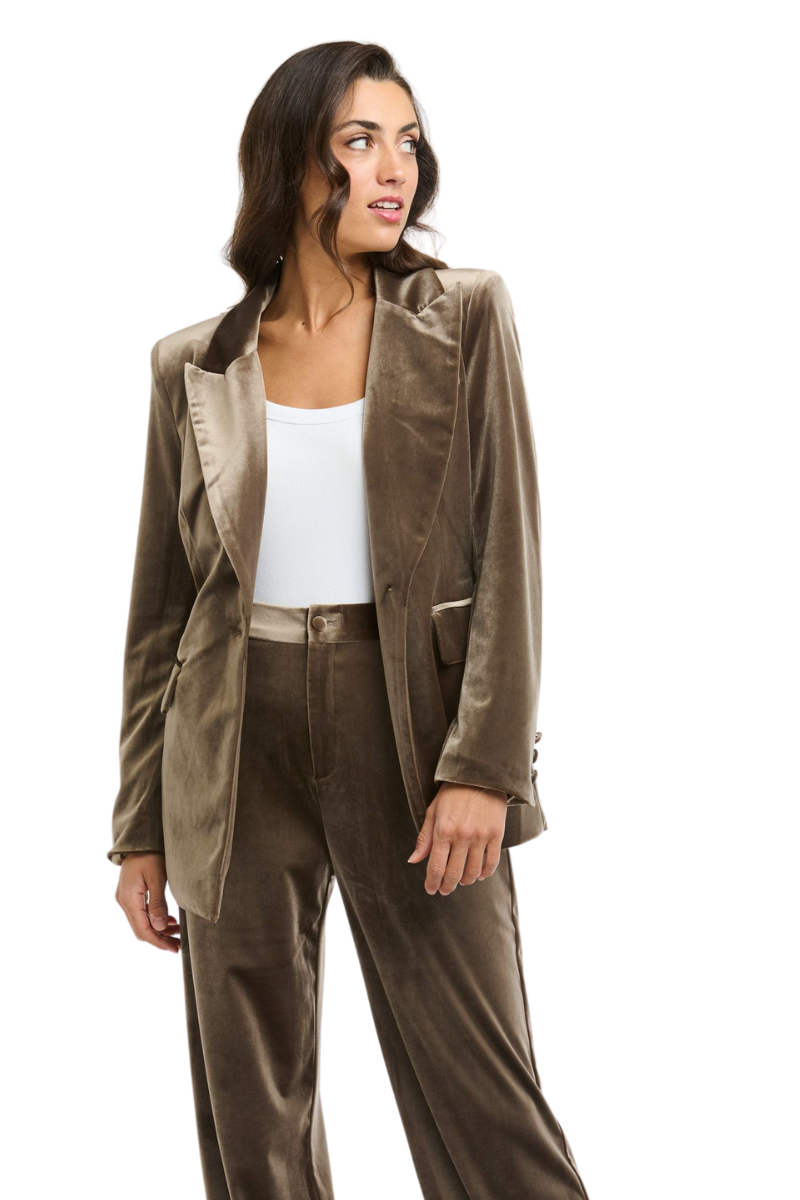 Shop Taupe Jets Velvet Jacket By Italian Star - Origen Imports