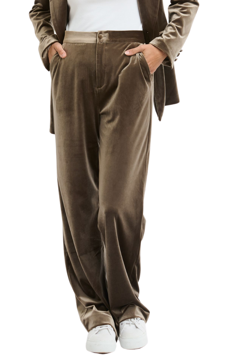 Shop Taupe Jets Velvet Pant By Italian Star - Origen Imports