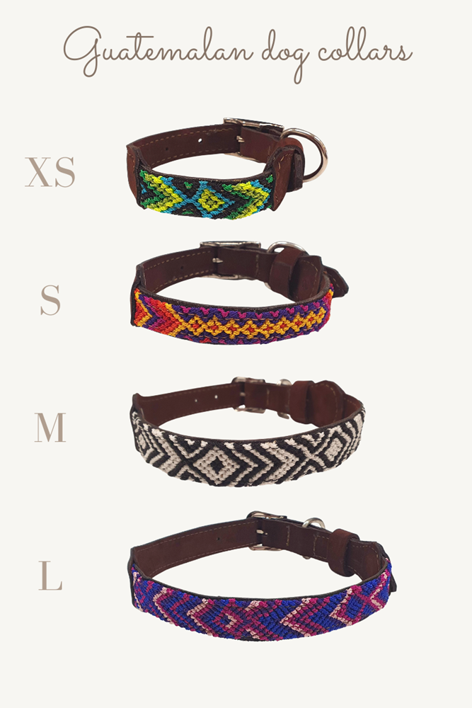 Shop Guatemalan Dog Collar - Origen Imports